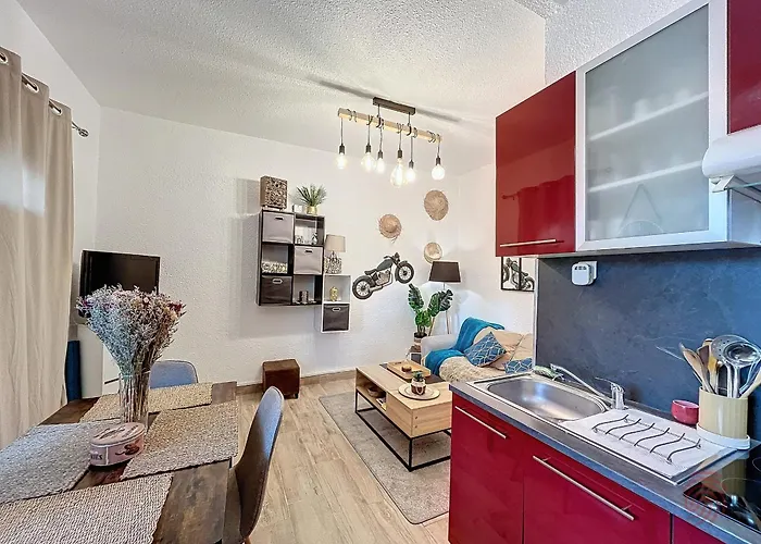 Apartamento F2 Avec Terrasse, Climatisation Et Proche Des Thermes - - Fr-1-451-202