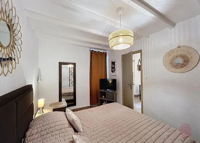 Apartamento F2 Avec Terrasse, Climatisation Et Proche Des Thermes - - Fr-1-451-202